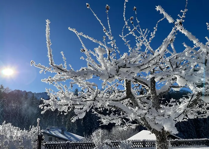 Διαμέρισμα Haus Krol