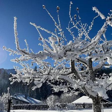 Appartement Haus Krol